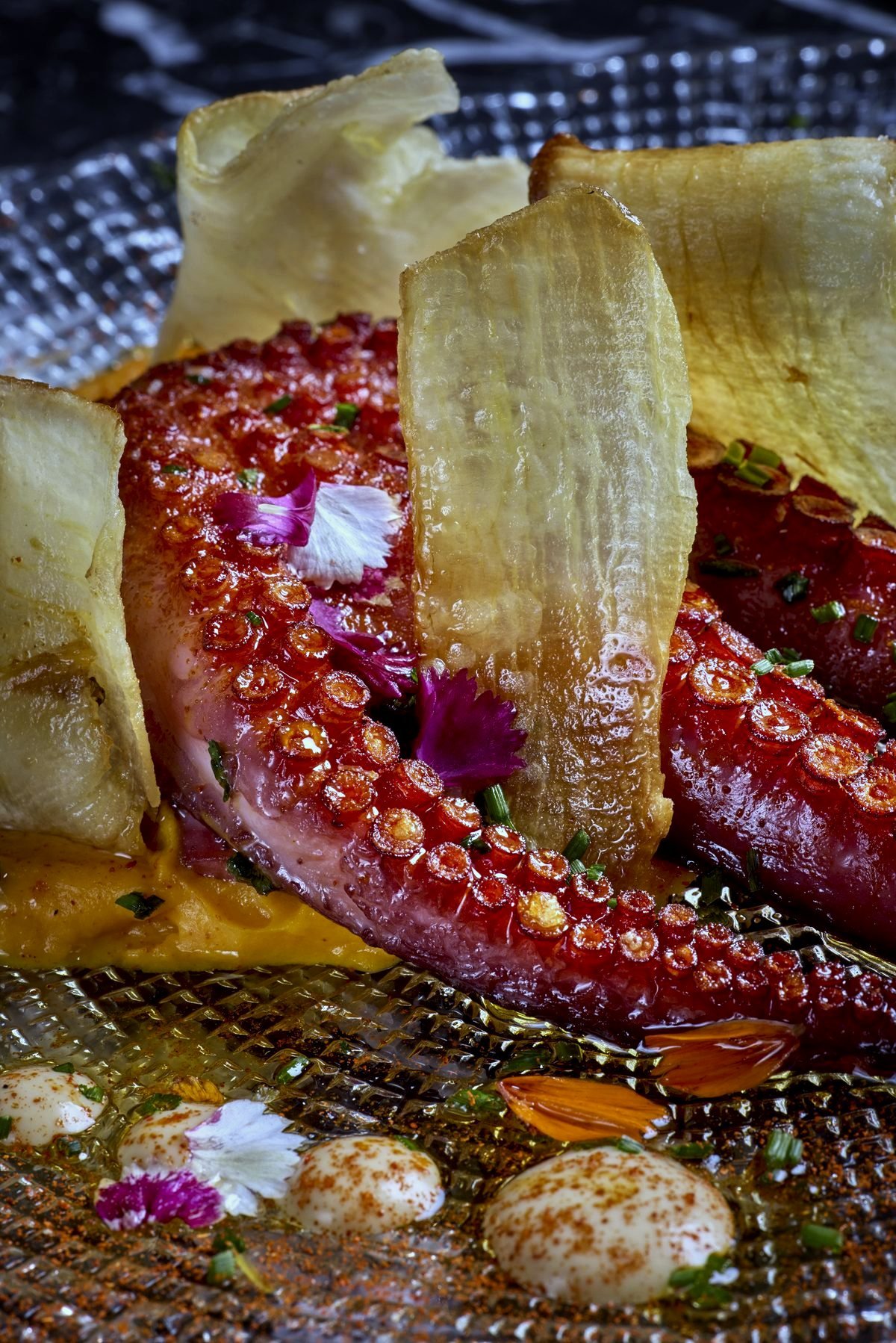 Pulpo braseado sobre cremoso de boniato