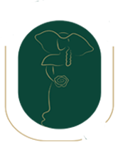 Vainita con Tostón Logo